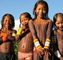 BRAZIL Kayapo Bracelet