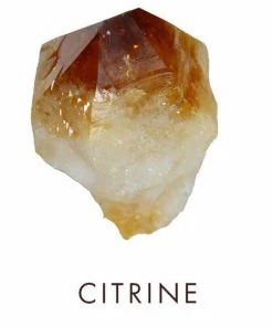 ITALY BAGS Nirmala Suede Brown