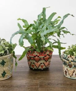 RWANDA 7" Ivy + Shades Of Sand Mwiba Planter