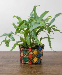 RWANDA Black + Neon Dafina Planter HOME