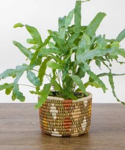 RWANDA HOME Shades Of Sand Dafina Planter
