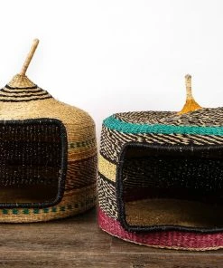 GHANA Neon Short Pet Hut