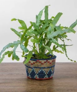 RWANDA 7" Blue Night Inzozi Tapered Planter HOME 11 RWANDA 7