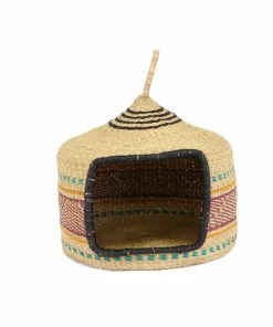 GHANA Neon Short Pet Hut