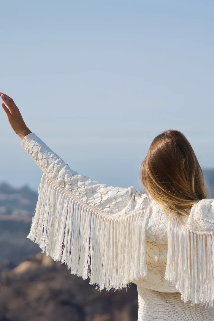 BRAZIL Pegasus Jacket 5 BRAZIL Pegasus Jacket