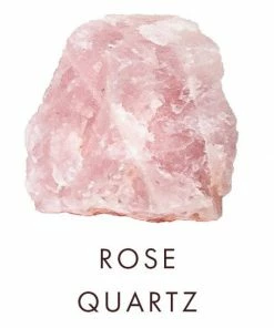 ITALY BAGS Nirmala Suede Brown