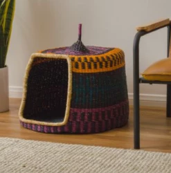 GHANA Neon + Black Short Pet Hut