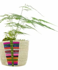 RWANDA 7" Chromatic Tapered Planter HOME